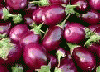 Brinjal